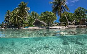Le Coconut Lodge